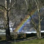 Rainbow in the Park at Cumberland Falls State Park, Corbin, KY