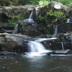 Coker Creek Falls 1
