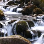 Frozen Roaring Fork River