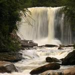 Blackwater Falls in Spring 4