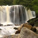 Blackwater Falls in Spring 5