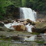 Douglas Falls 8