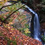 New River Gorge 2