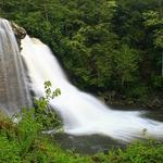 Muddy Creek Falls in Spring 3