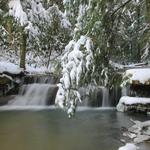 Tolliver Falls in Winter 1