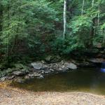 Tolliver Falls in Summer 1