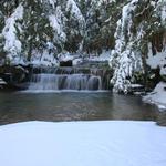 Tolliver Falls in Winter 3