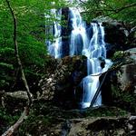 Dark Hollow Falls 1