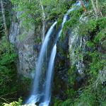 Lewis River Falls 1