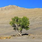 Devil's Kitchen Lone Tree, Wyoming