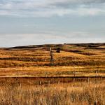 Nebraska Prairie 3