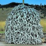 Antler Pole at National Bison Range 1