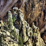 Grand Canyon of Yellowstone